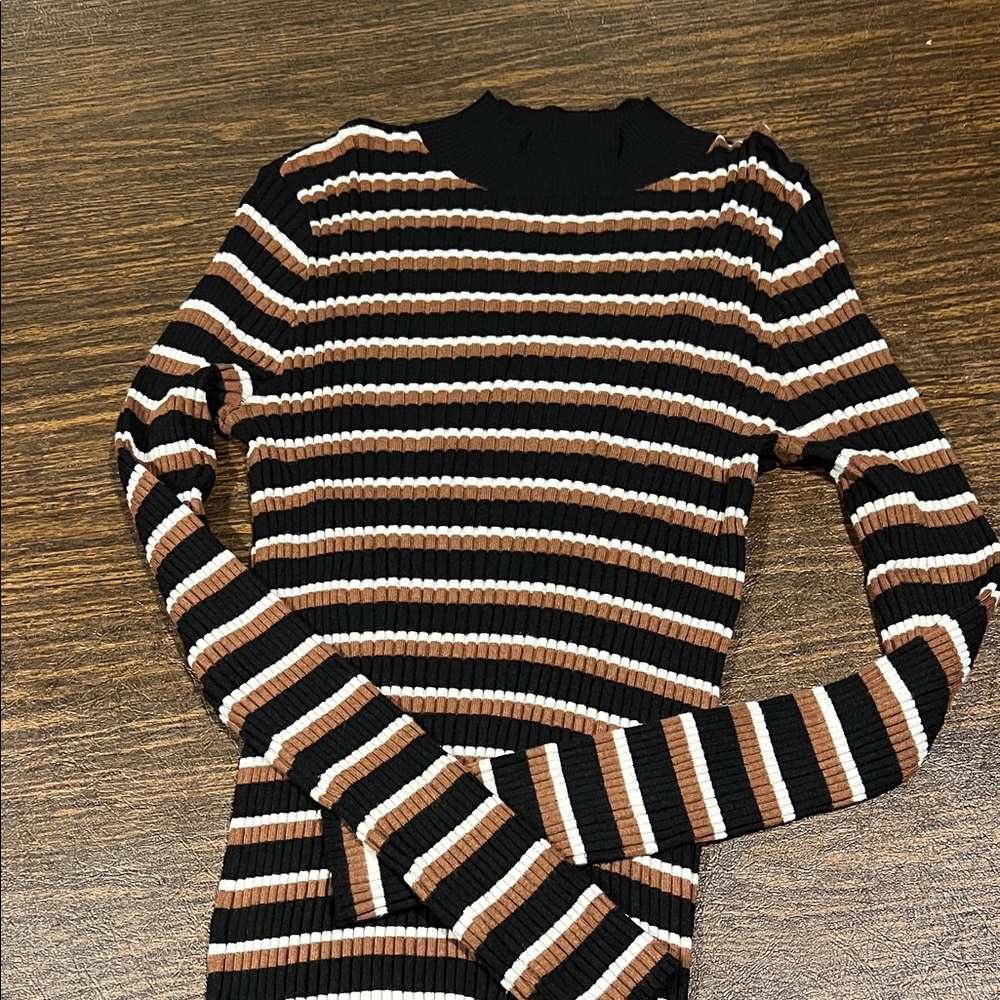 Sanctuary Black and Brown Striped Turtleneck Sweater